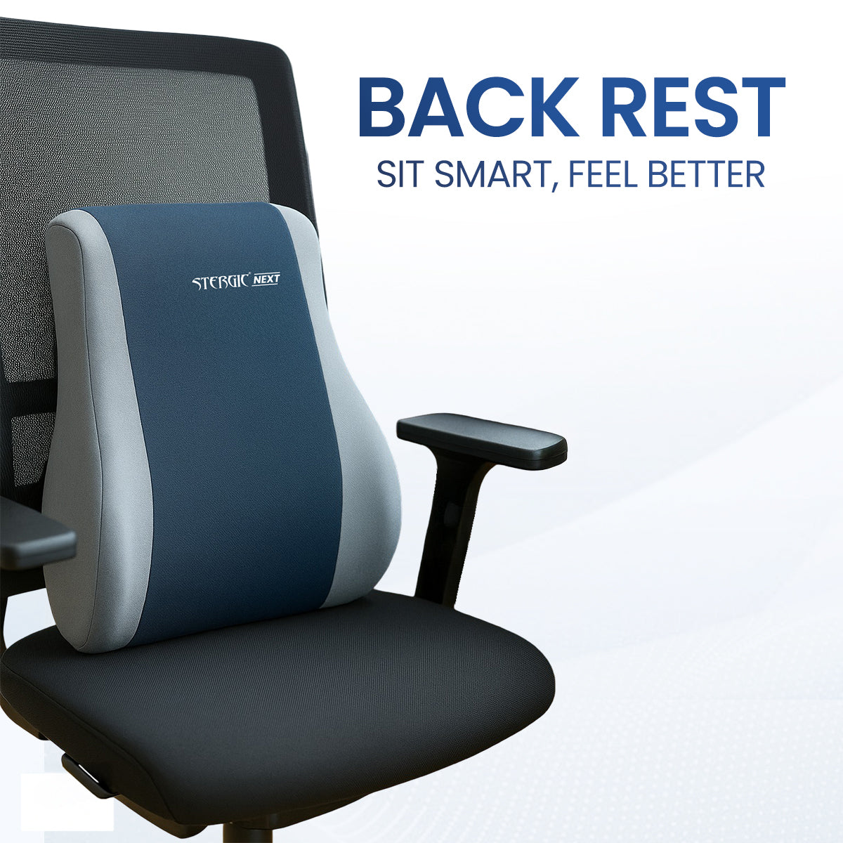 STERGIC Next Memory Foam Lumbar Support for Chair - Back Cushion