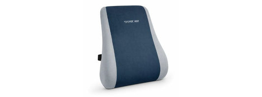STERGIC Next Memory Foam Lumbar Support for Chair - Back Cushion