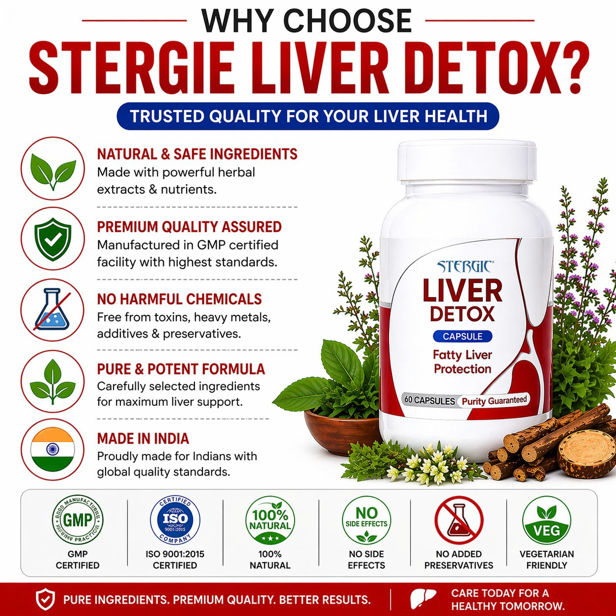 STERGIC Liver Detox Capsules – Ayurvedic Liver Cleanse & Fatty Liver Support | 60 Capsules