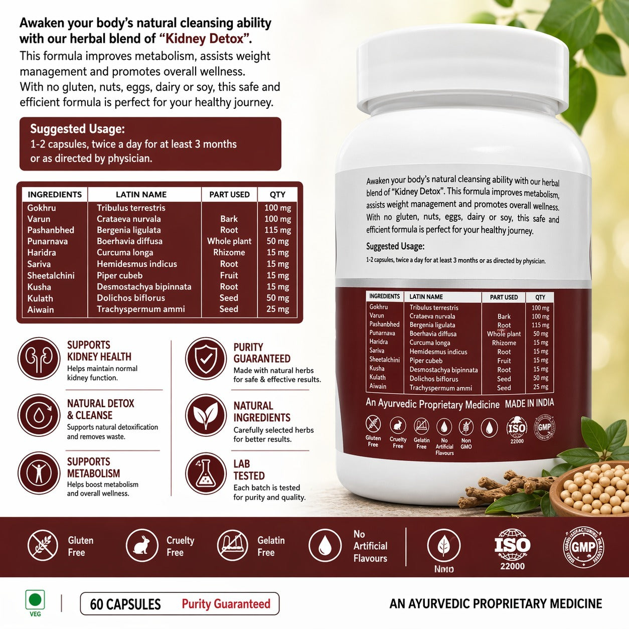 STERGIC Kidney Detox Capsules – Ayurvedic Kidney Cleanse & Metabolism Support | 60 Capsules