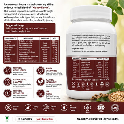 STERGIC Kidney Detox Capsules – Ayurvedic Kidney Cleanse & Metabolism Support | 60 Capsules