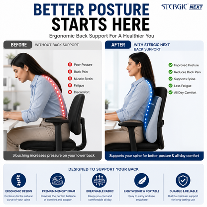 STERGIC Next Memory Foam Lumbar Support for Chair - Back Cushion