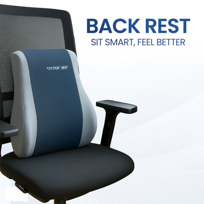 STERGIC Next Memory Foam Lumbar Support for Chair - Back Cushion